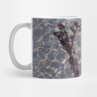 Dancing cactus flowers in water ripples Mug